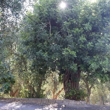 2 Pini Rodi Garganico