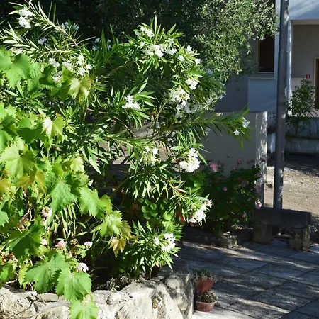 2 Pini Hotel