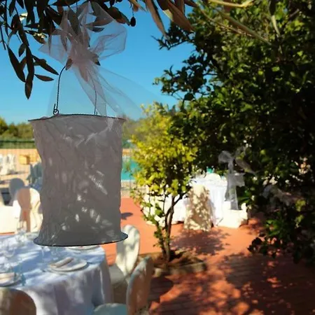 2 Pini رودي غارغانيكو