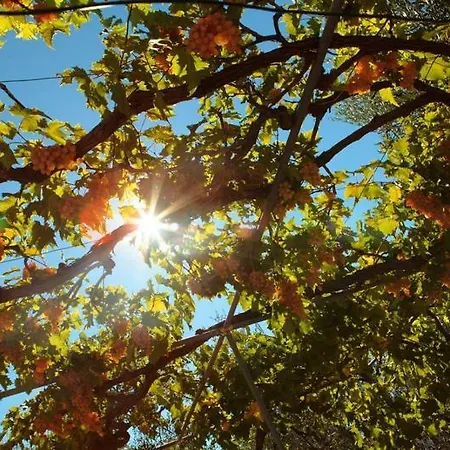 Ξενοδοχείο 2 Pini Rodi Garganico