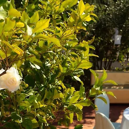 2 Pini Hotel Rodi Garganico