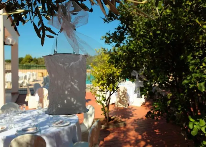 2 Pini رودي غارغانيكو