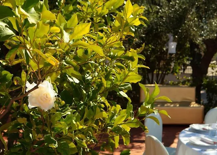 2 Pini فندق رودي غارغانيكو