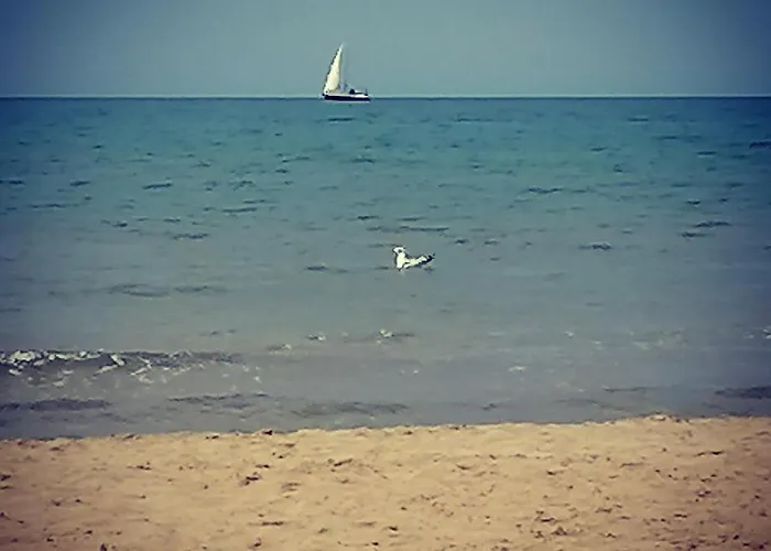 2 Pini 3* رودي غارغانيكو